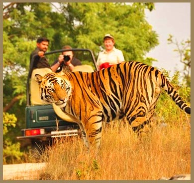 Golden Triangle Tour With Ranthambore